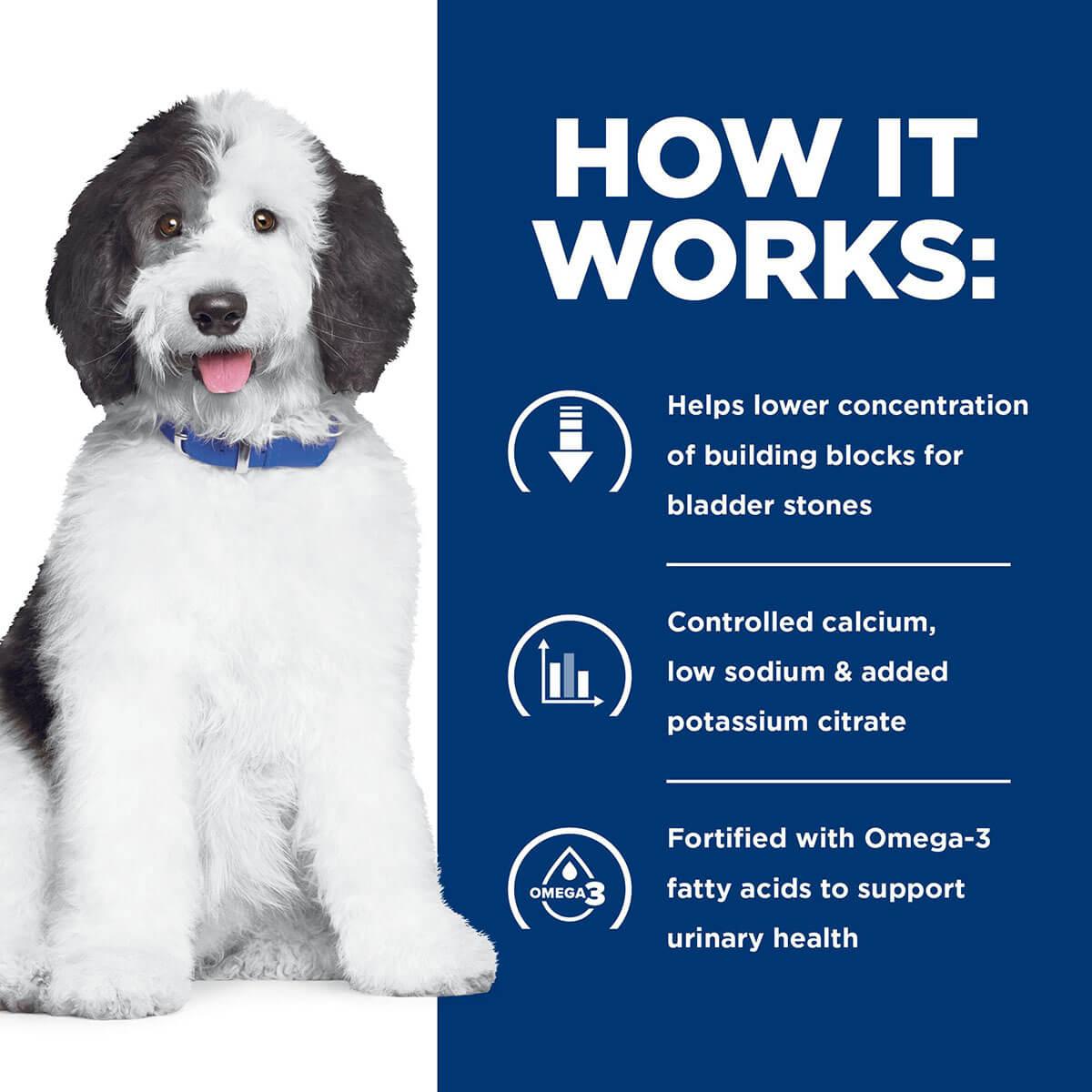 Hill's Prescription Diet C/D Multicare Urinary Care Dry Dog Food - PetPost Australia