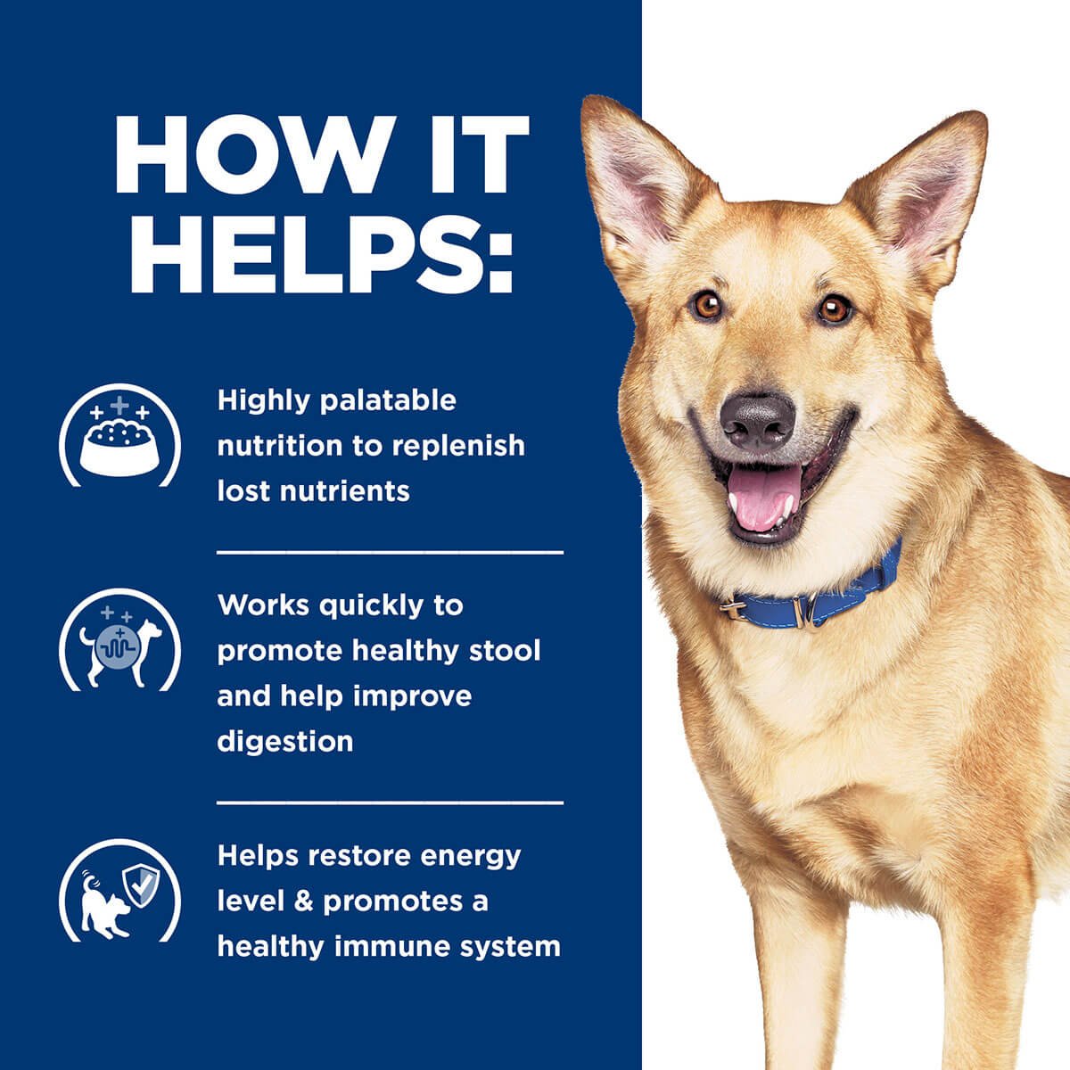 Hill's Prescription Diet I/D Digestive Dry Dog Food - PetPost Australia