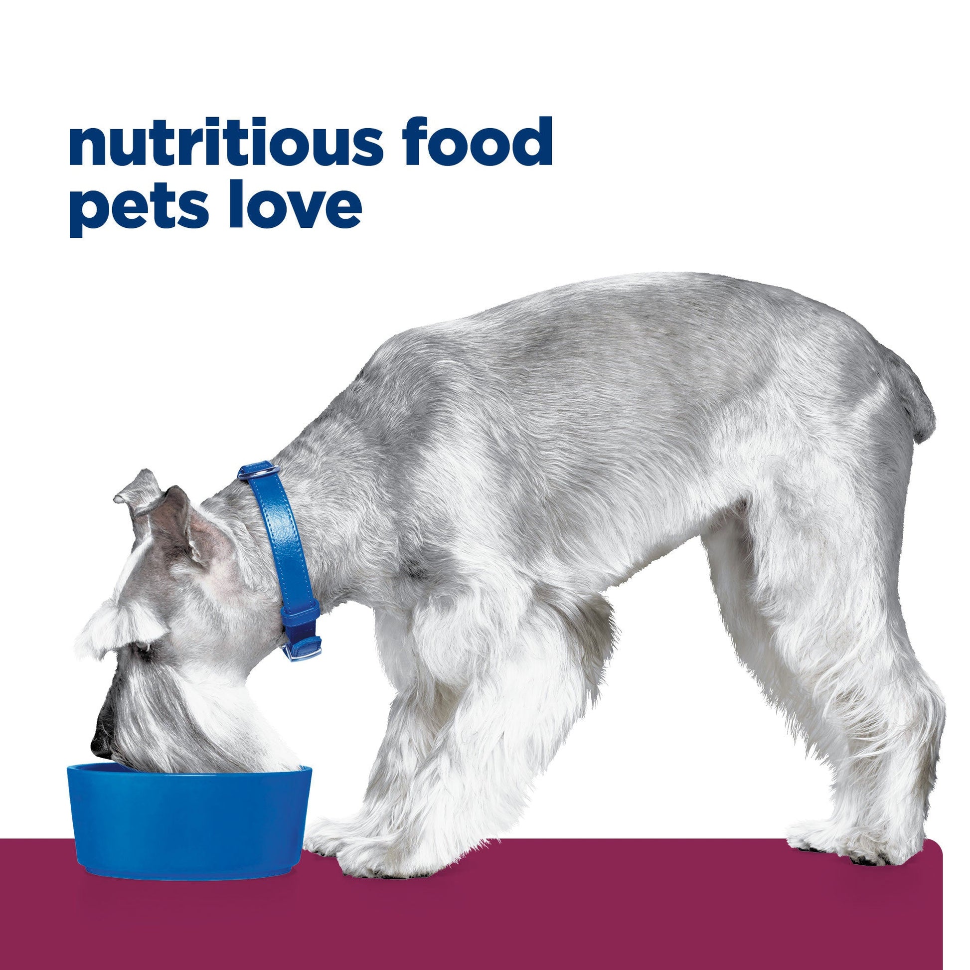 Hill's Prescription Diet I/D Low Fat Digestive Care Dry Dog Food - PetPost Australia
