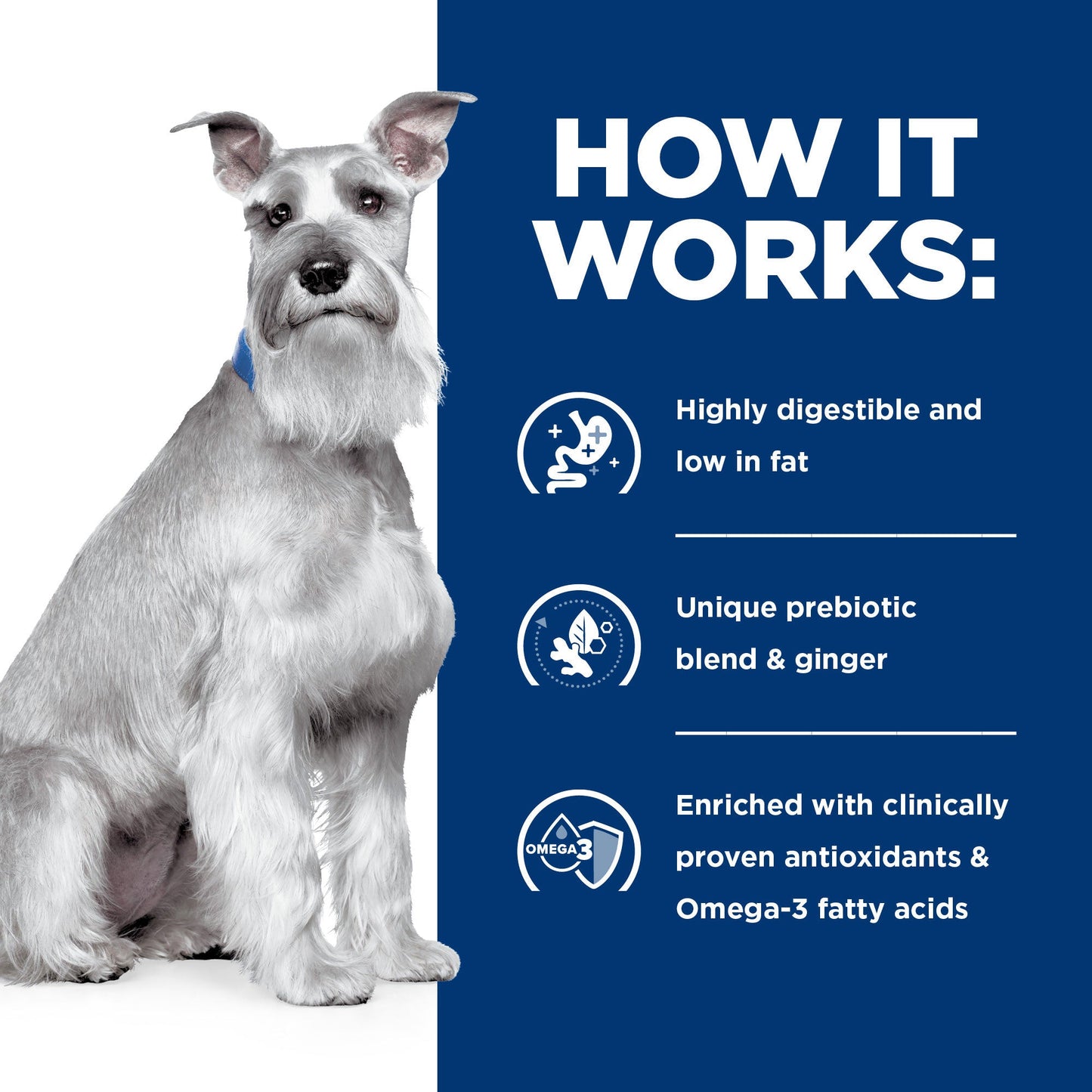 Hill's Prescription Diet I/D Low Fat Digestive Care Dry Dog Food - PetPost Australia