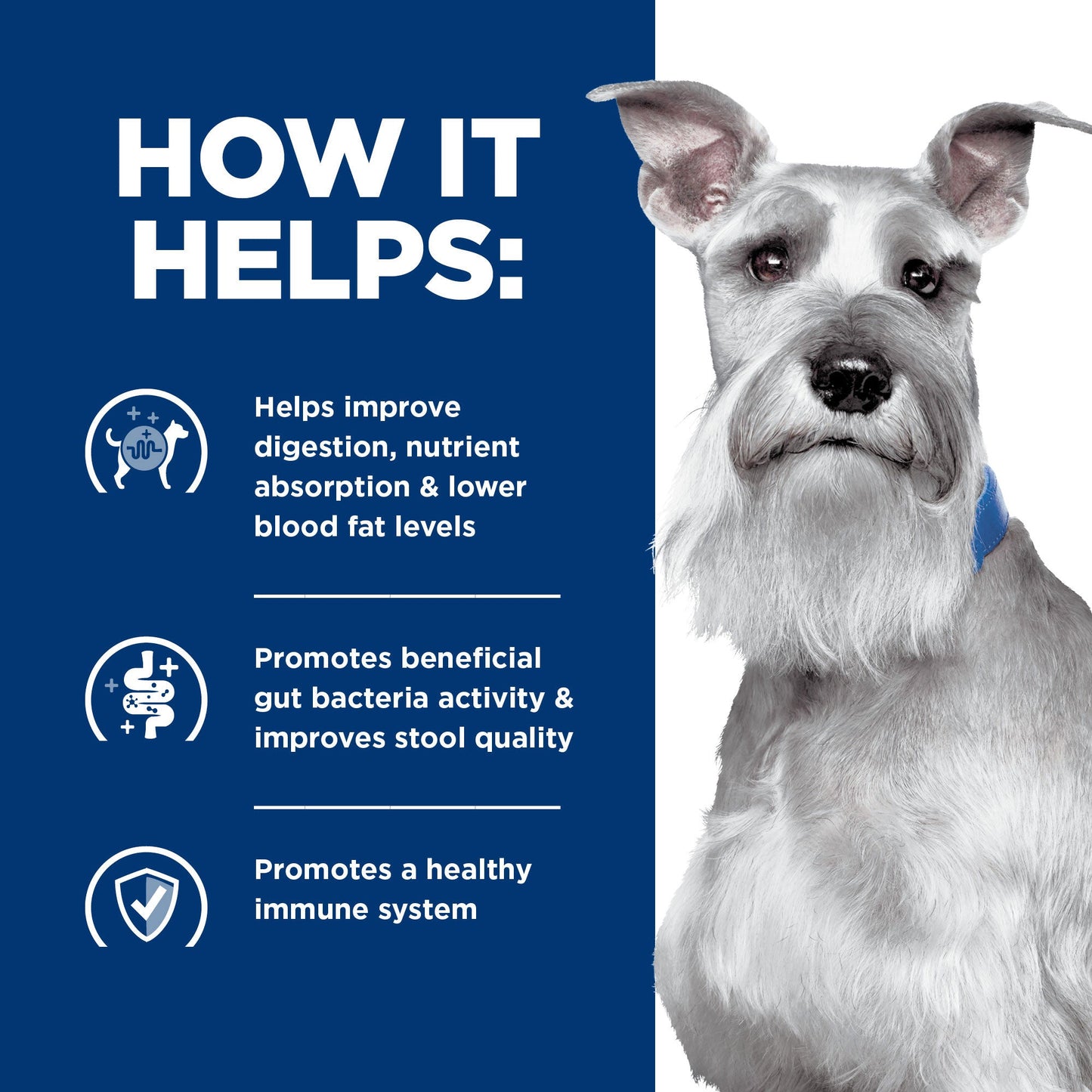 Hill's Prescription Diet I/D Low Fat Digestive Care Dry Dog Food - PetPost Australia