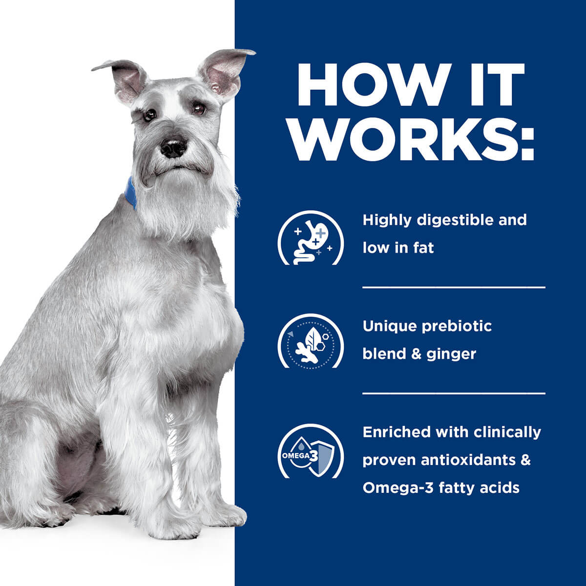 Hill's Prescription Diet I/D Low Fat Digestive Care Dry Dog Food - PetPost Australia