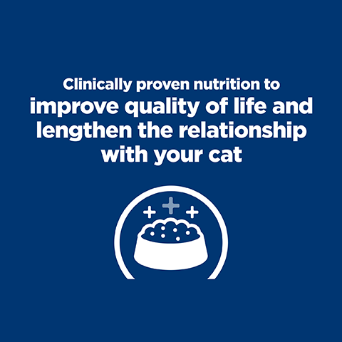 Hill's Prescription Diet K/D Kidney Care Chicken Pouches Wet Cat Food - PetPost Australia