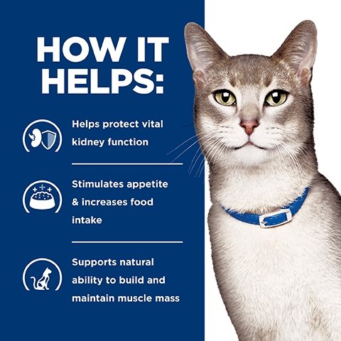 Hill's Prescription Diet K/D Kidney Care Chicken Pouches Wet Cat Food - PetPost Australia