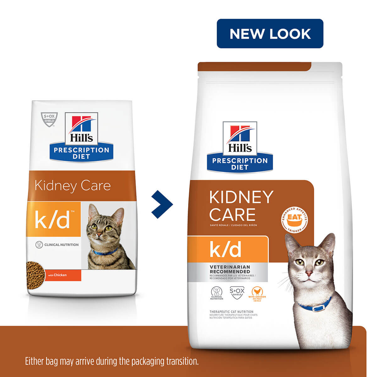Hill's Prescription Diet K/D Kidney Care Dry Cat Food - PetPost Australia