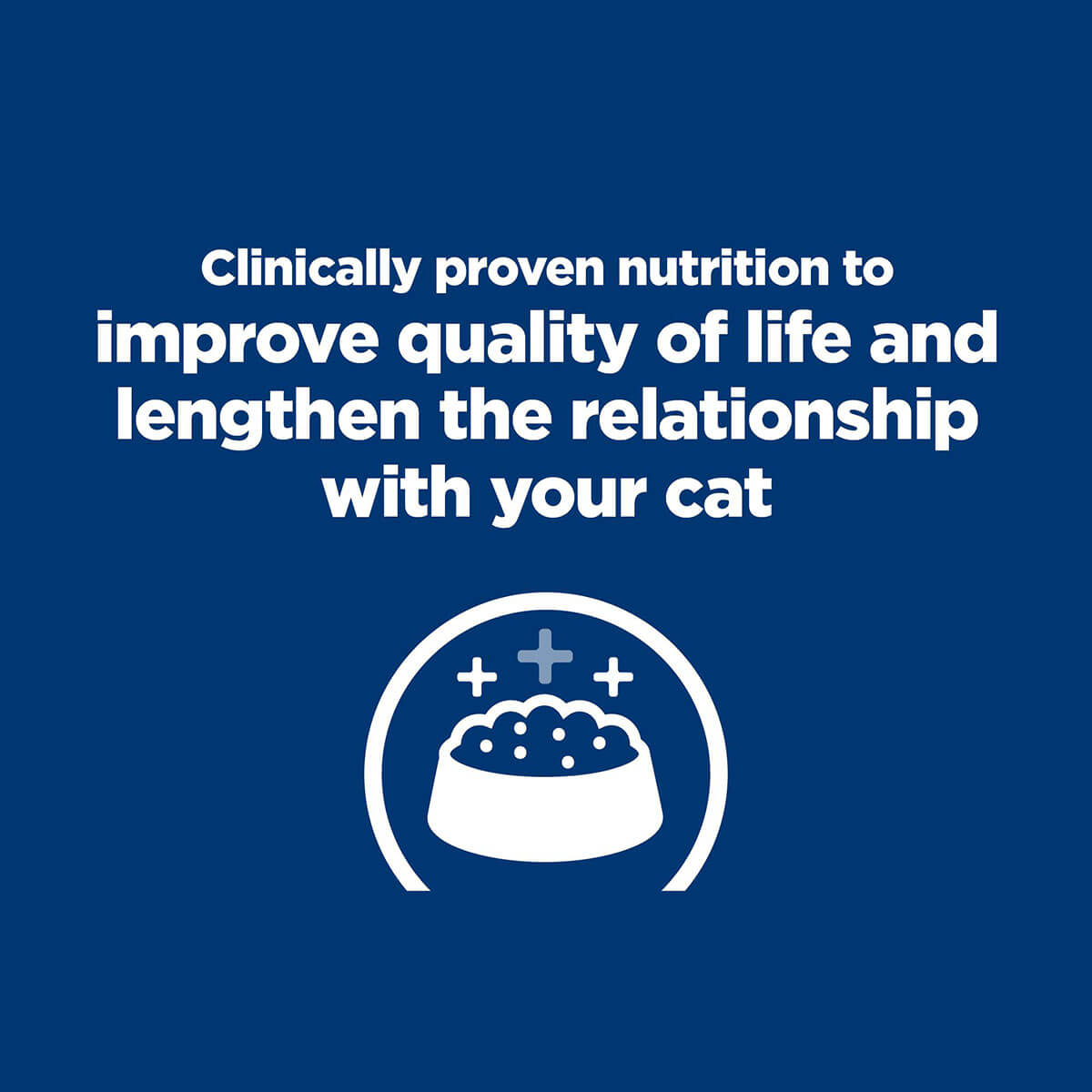 Hill's Prescription Diet K/D Kidney Care Dry Cat Food - PetPost Australia