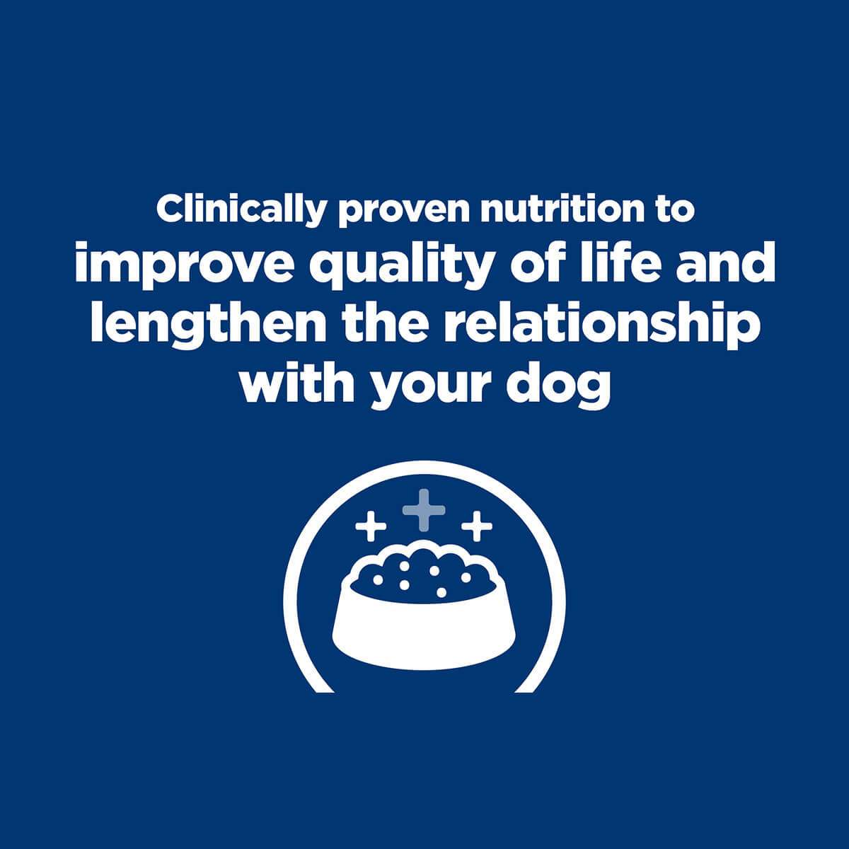 Hill's Prescription Diet K/D Kidney Care Dry Dog Food - PetPost Australia