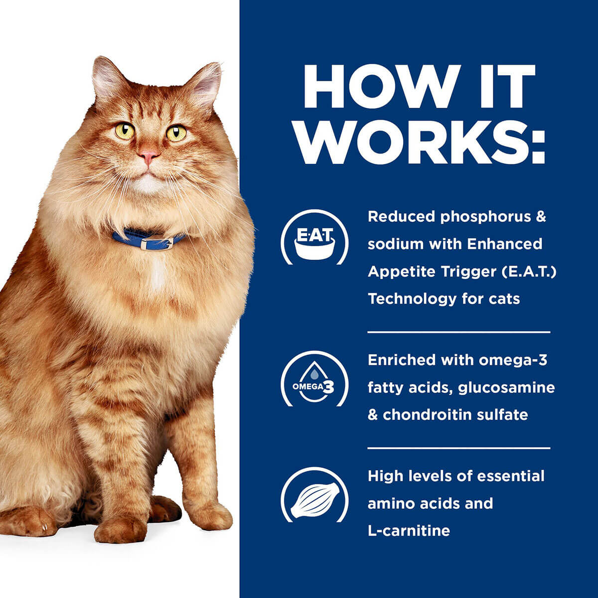 Hill's Prescription Diet K/D Kidney Care & Mobility Cat Dry Food 2.88kg - PetPost Australia