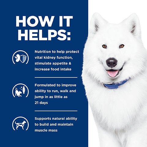 Hill's Prescription Diet K/D Kidney Care & Mobility Dry Dog Food 8.48kg - PetPost Australia