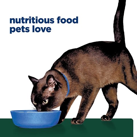 Hill's Prescription Diet M/D Glucose/Weight Management Dry Cat Food 1.8kg - PetPost Australia