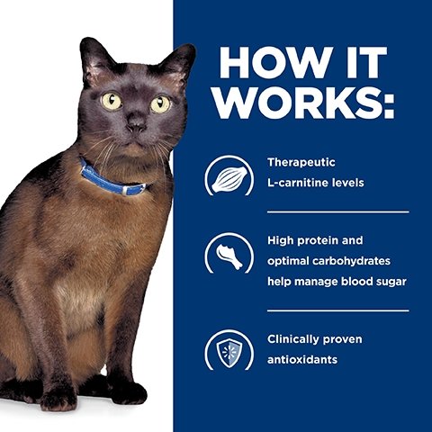 Hill's Prescription Diet M/D Glucose/Weight Management Dry Cat Food 1.8kg - PetPost Australia