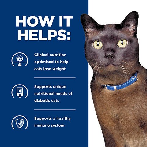 Hill's Prescription Diet M/D GlucoSupport Canned Wet Cat Food 156g - PetPost Australia