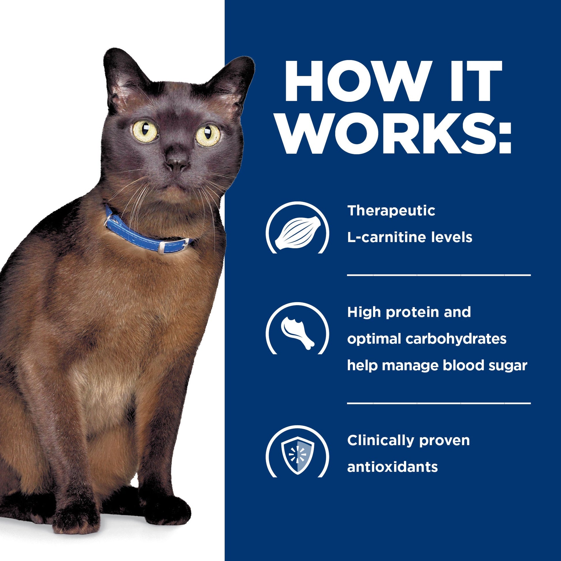 Hill's Prescription Diet M/D GlucoSupport Canned Wet Cat Food 156g - PetPost Australia