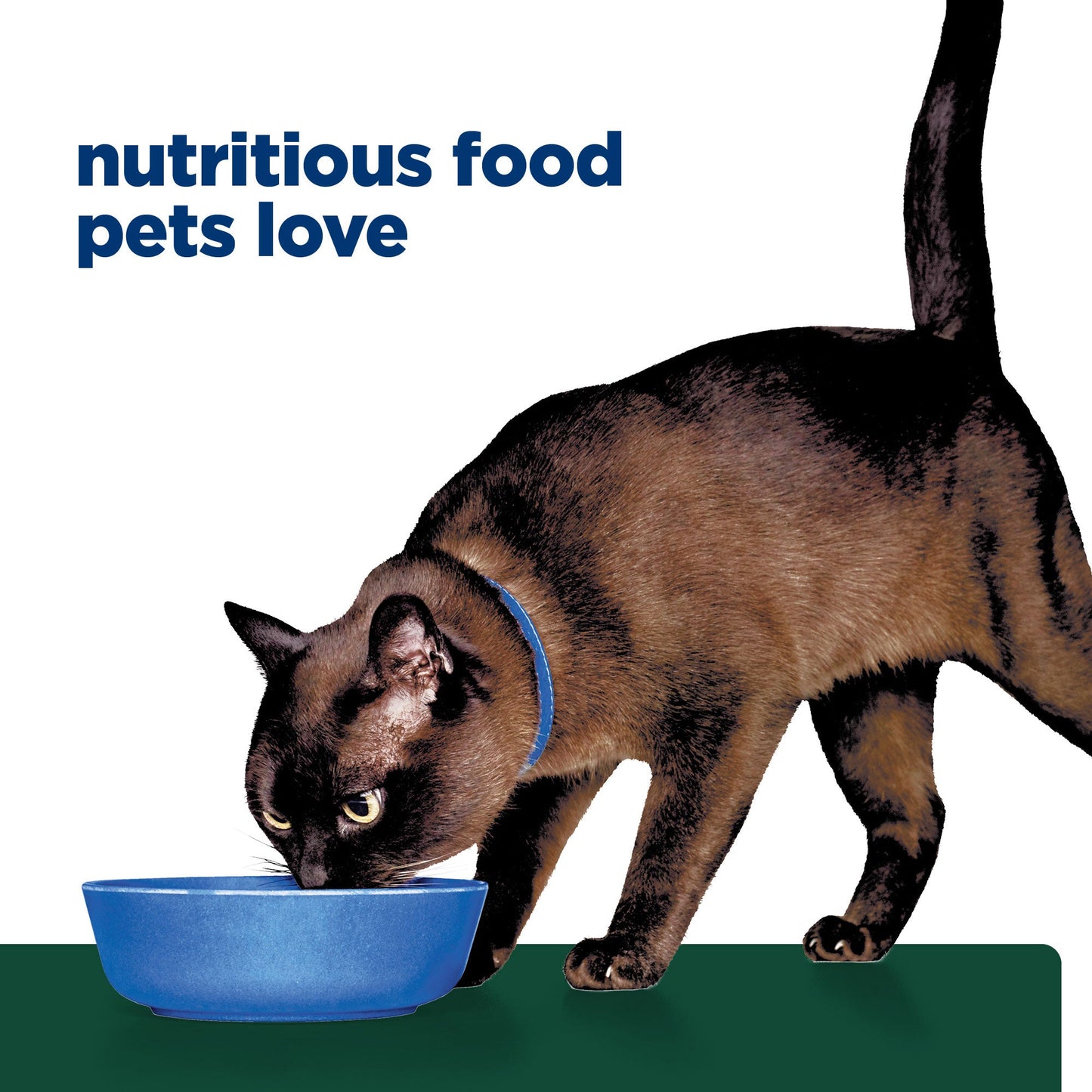 Hill's Prescription Diet M/D GlucoSupport Canned Wet Cat Food 156g - PetPost Australia