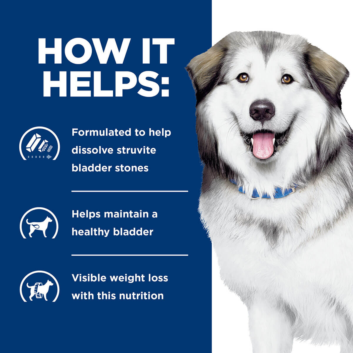 Hill's Prescription Diet Metabolic & Urinary Dry Dog Food 3.85kg - PetPost Australia