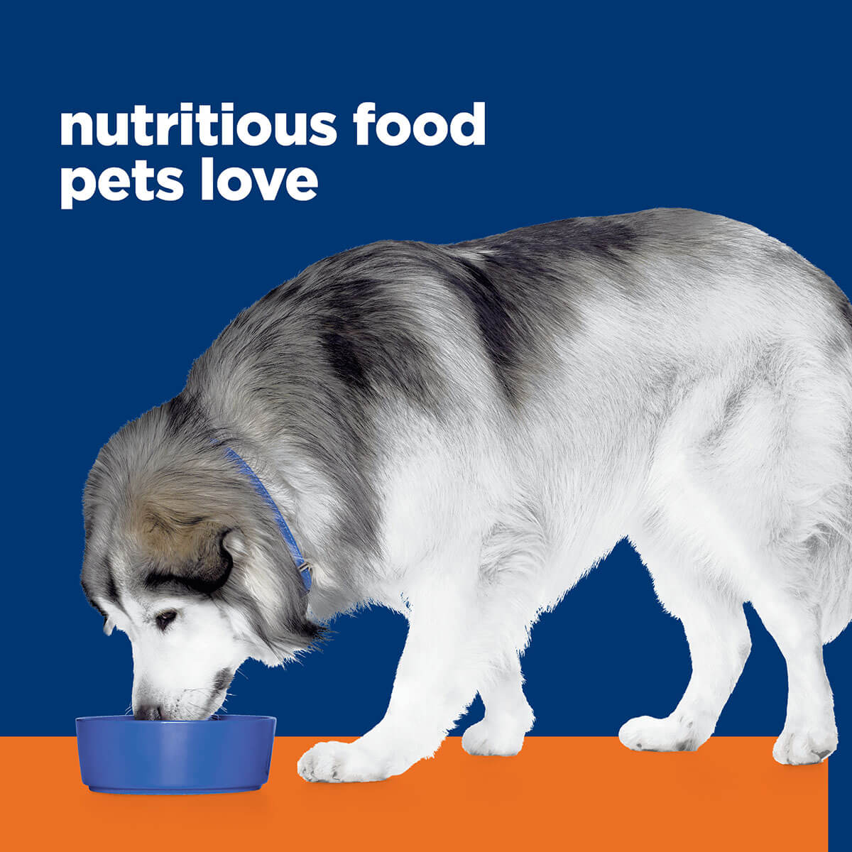 Hill's Prescription Diet Metabolic & Urinary Dry Dog Food 3.85kg - PetPost Australia