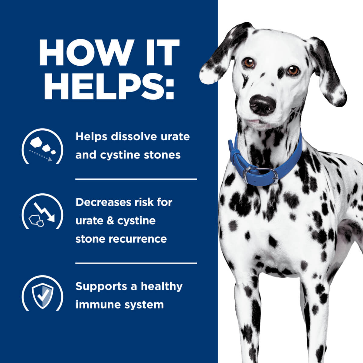 Hill's Prescription Diet U/D Urinary Care Dry Dog Food - PetPost Australia