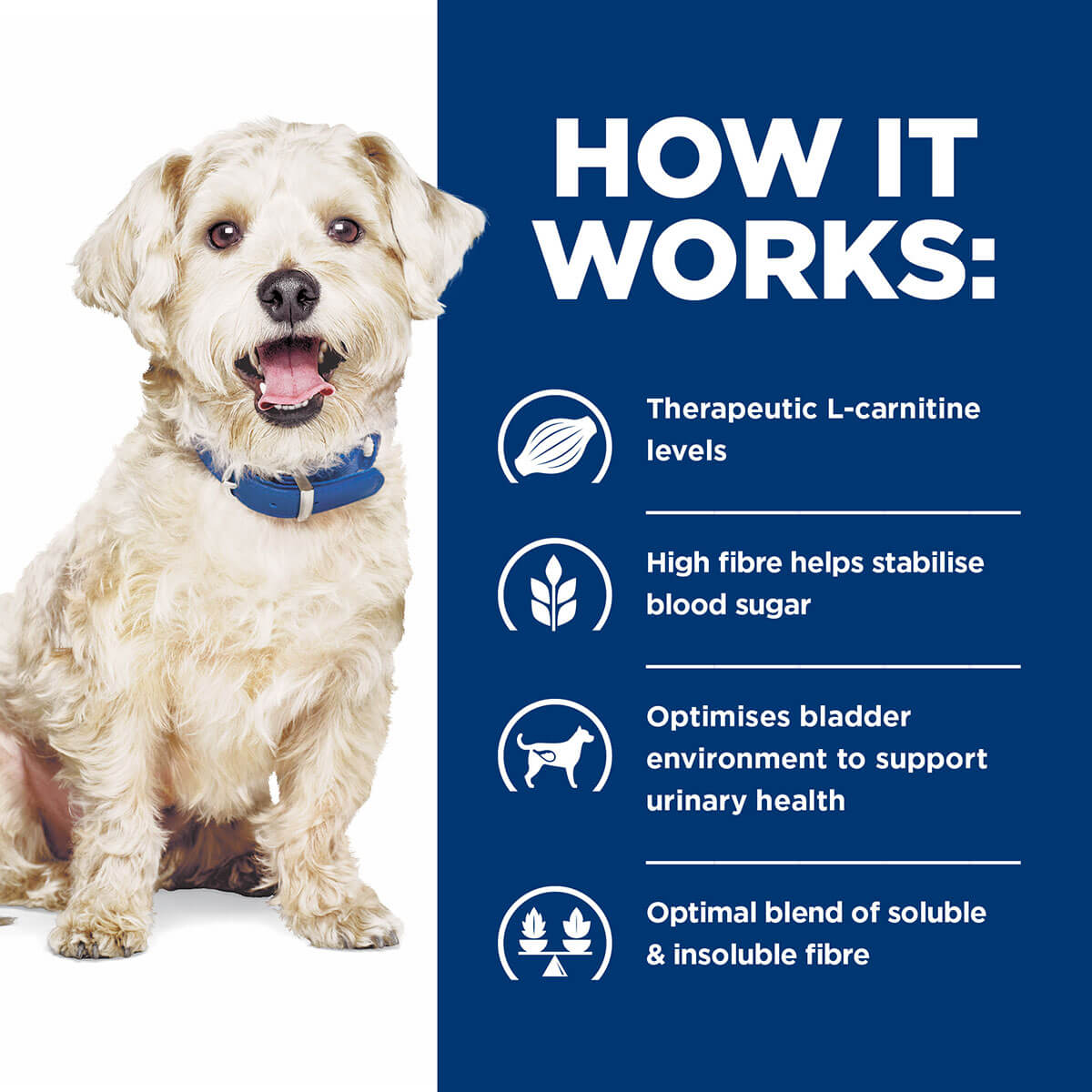 Hill's Prescription Diet W/D Multi Benefit Dry Dog Food - PetPost Australia