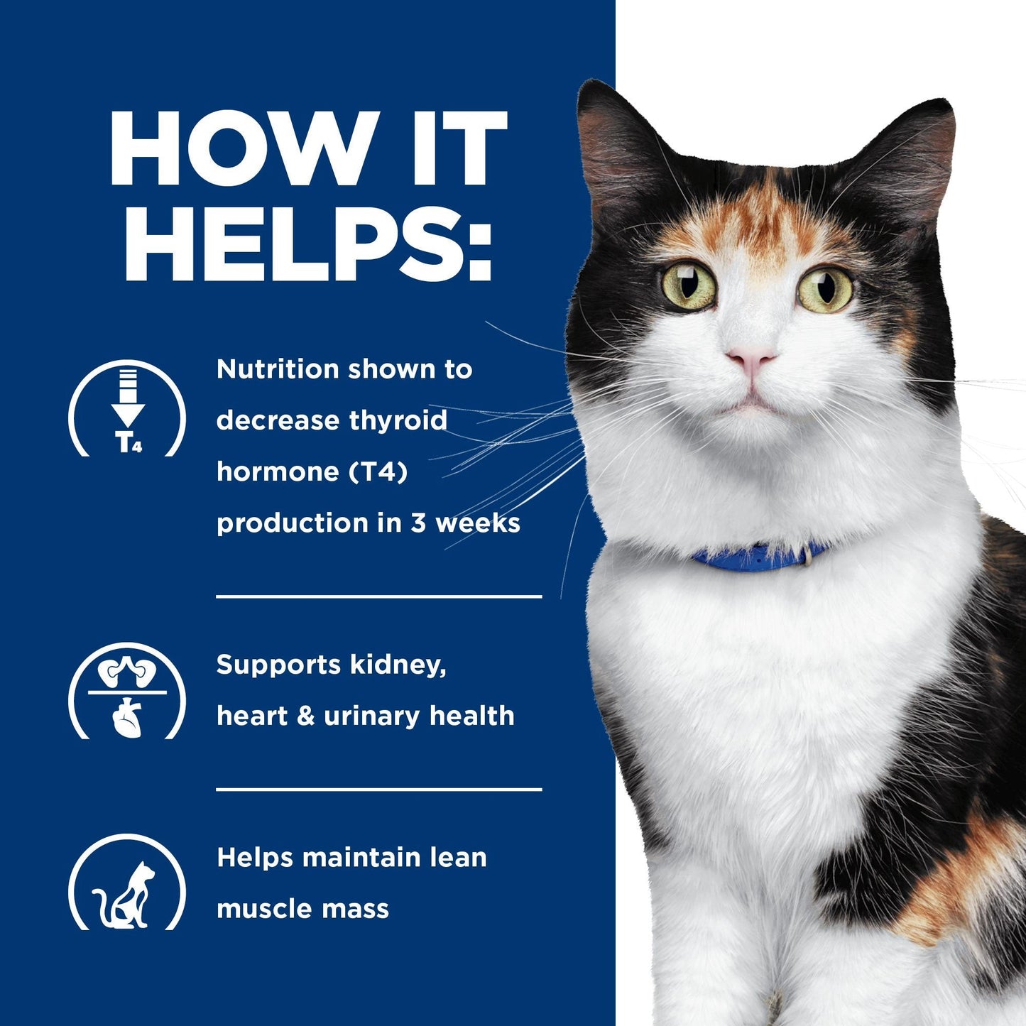 Hill's Prescription Diet Y/D Thyroid Care Dry Cat Food 1.8kg - PetPost Australia