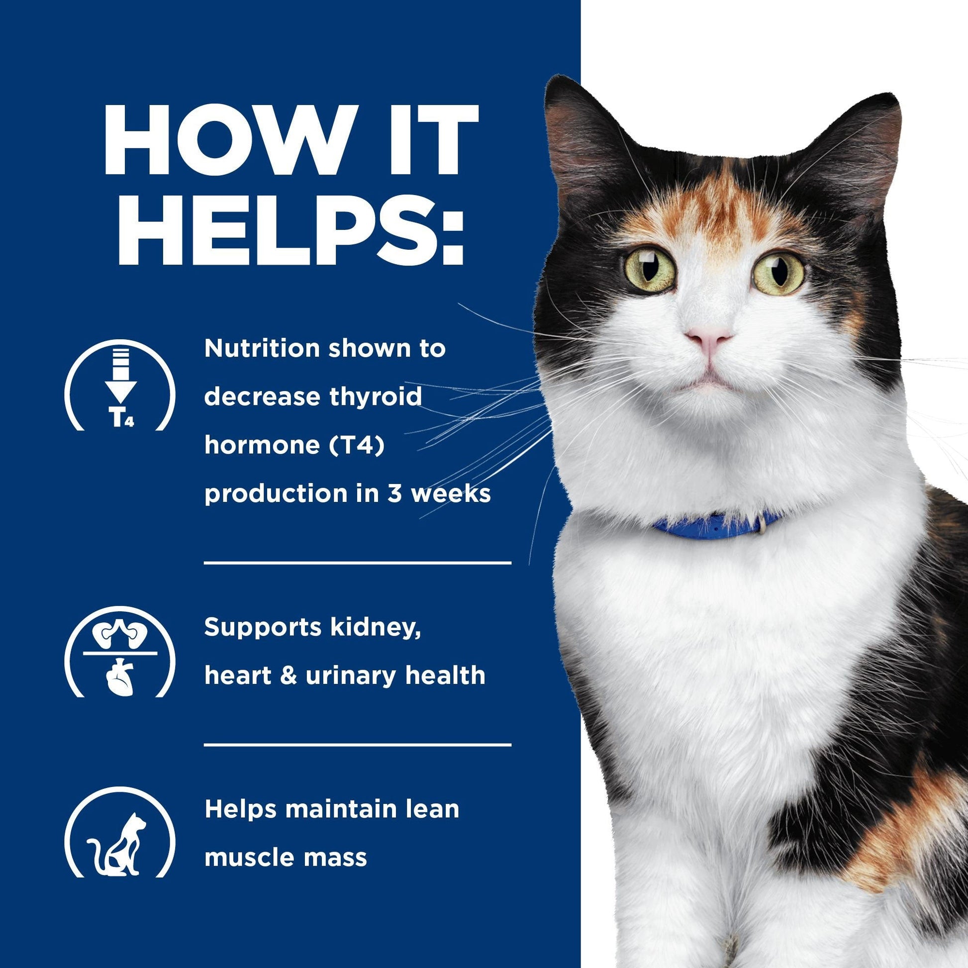 Hill's Prescription Diet Y/D Thyroid Care Dry Cat Food 1.8kg - PetPost Australia