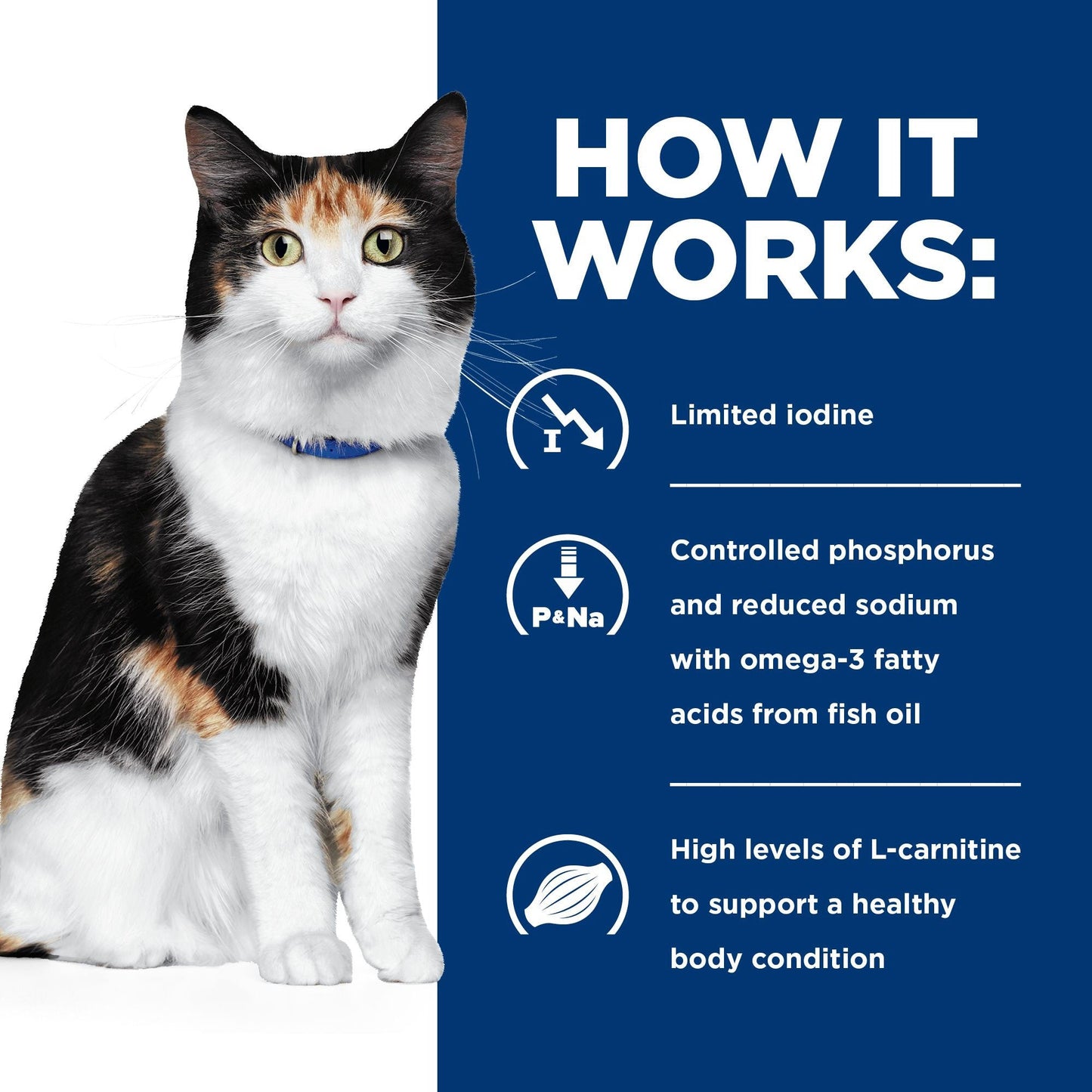 Hill's Prescription Diet Y/D Thyroid Care Dry Cat Food 1.8kg - PetPost Australia