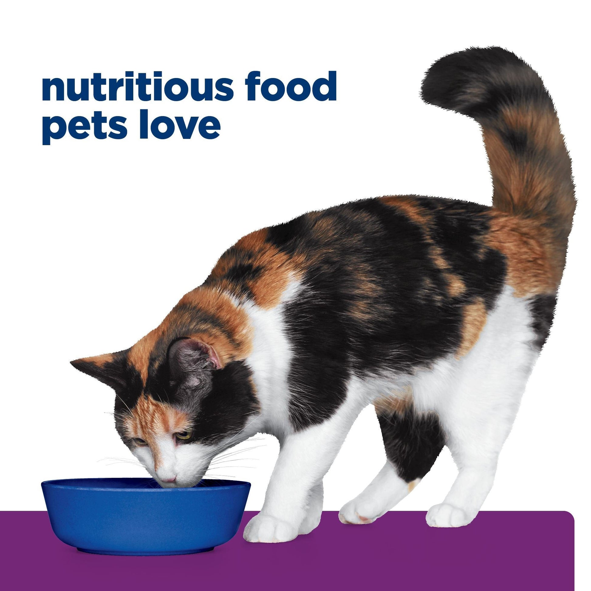Hill's Prescription Diet Y/D Thyroid Care Dry Cat Food 1.8kg - PetPost Australia