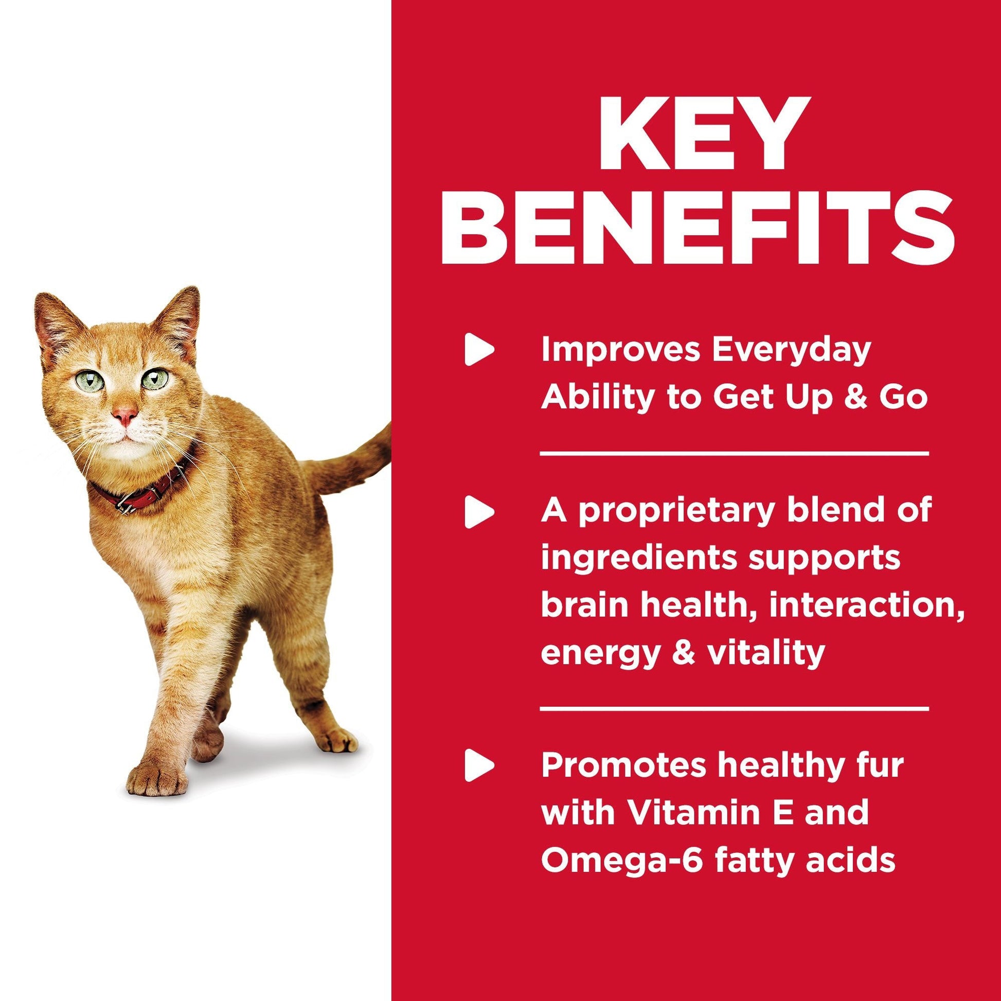 Hill's Science Diet Adult 7+ Senior Vitality Dry Cat Food - PetPost Australia