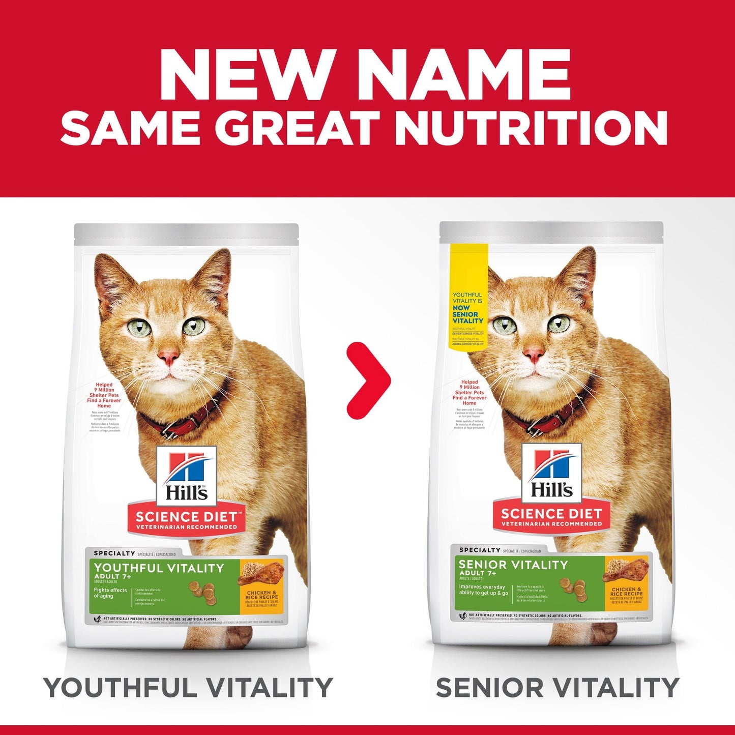 Hill's Science Diet Adult 7+ Senior Vitality Dry Cat Food - PetPost Australia