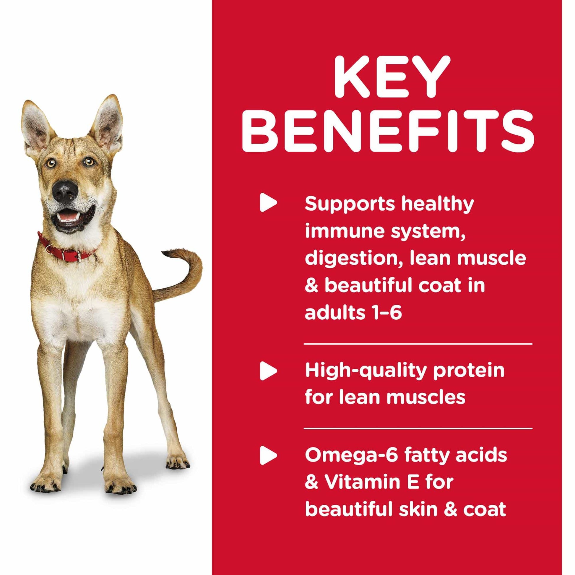 Hill's Science Diet Adult Beef & Barley Wet Dog Food - PetPost Australia