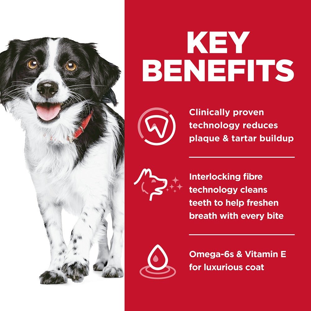 Hill's Science Diet Adult Oral Care Small & Mini Dry Dog Food - PetPost Australia