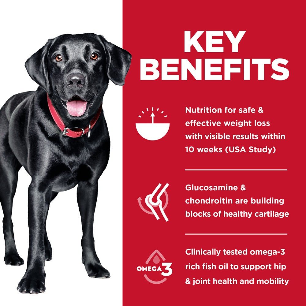 Hill’s Science Diet Adult Perfect Weight + Joint Support Large Breed Dry Dog Food 11.34kg - PetPost Australia