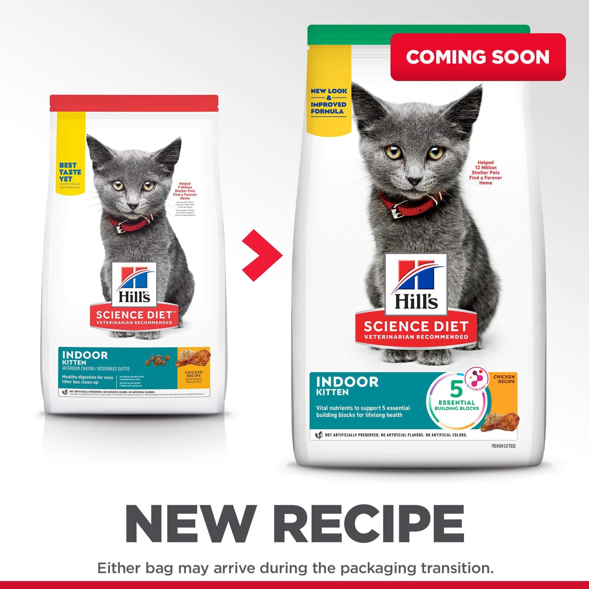 Hill's Science Diet Indoor Kitten Dry Cat Food - PetPost Australia