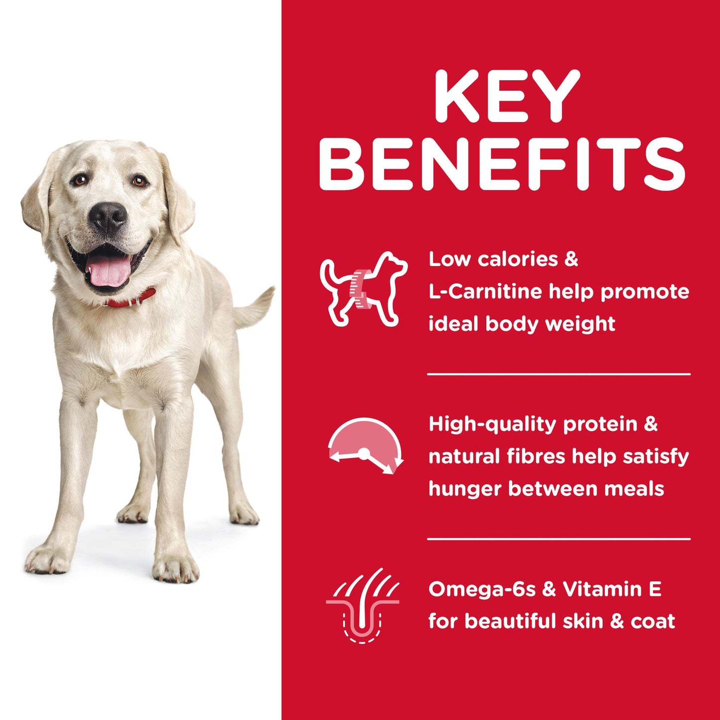 Hill's Science Diet Large Breed Light Adult Chicken Dry Dog Food - PetPost Australia