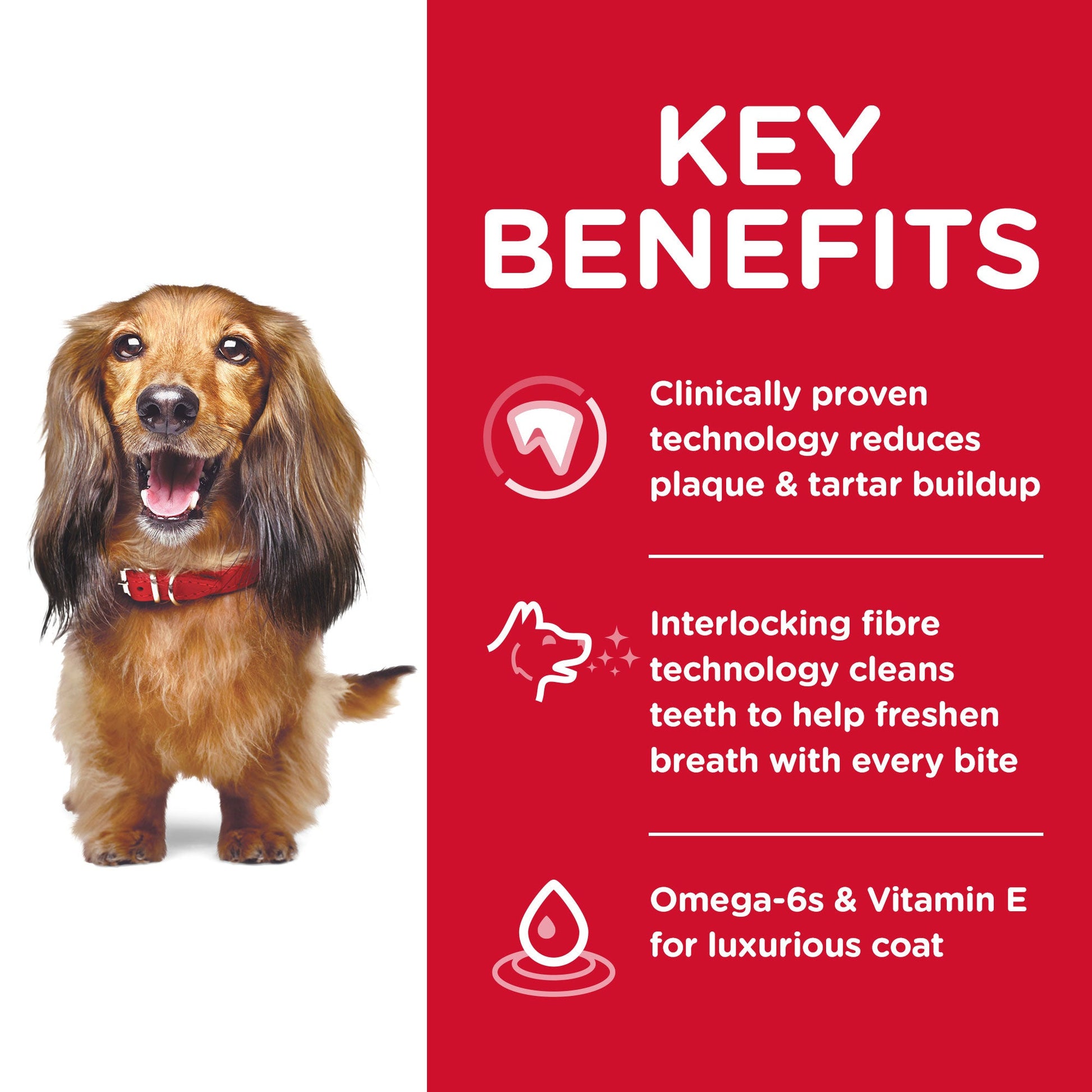 Hill's Science Diet Oral Care Adult Chicken Dry Dog Food - PetPost Australia