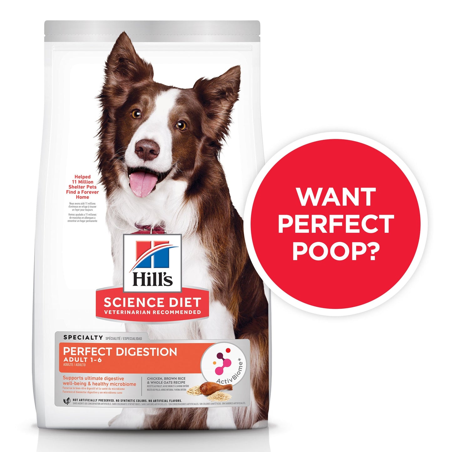 Hill's Science Diet Perfect Digestion Adult Dry Dog Food - PetPost Australia