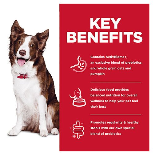 Hill's Science Diet Perfect Digestion Adult Dry Dog Food - PetPost Australia