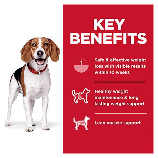 Hill's Science Diet Perfect Weight Adult Small Bites Dry Dog Food - PetPost Australia