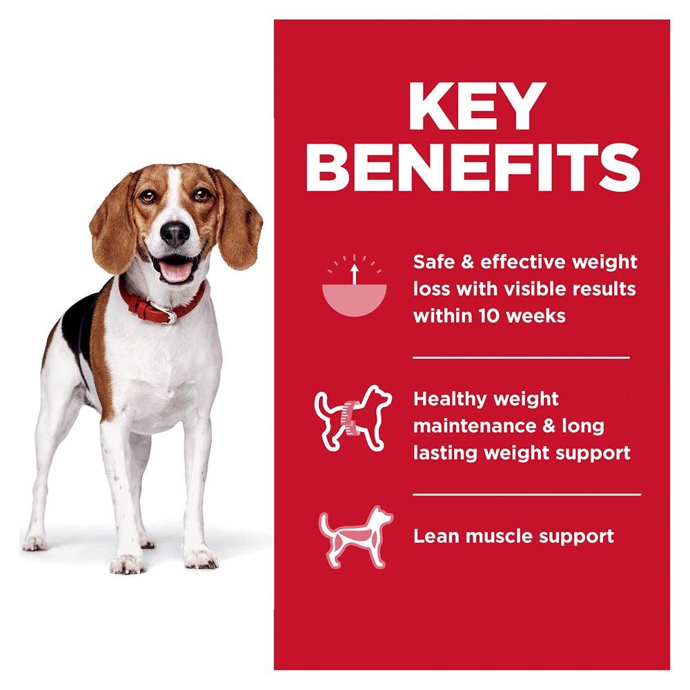 Hill's Science Diet Perfect Weight Adult Small Bites Dry Dog Food - PetPost Australia