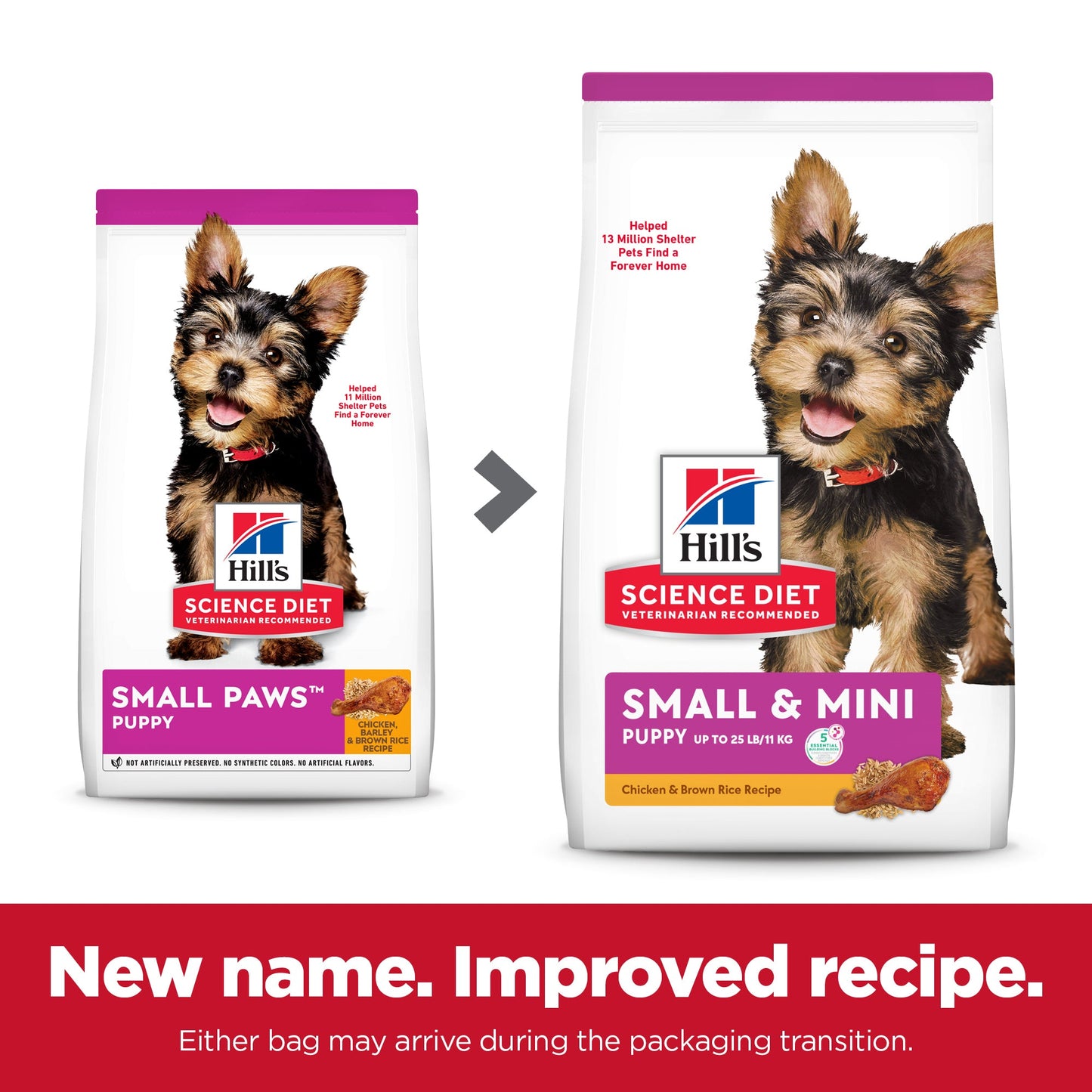 Hill's Science Diet Puppy Small & Mini Dry Dog Food - PetPost Australia