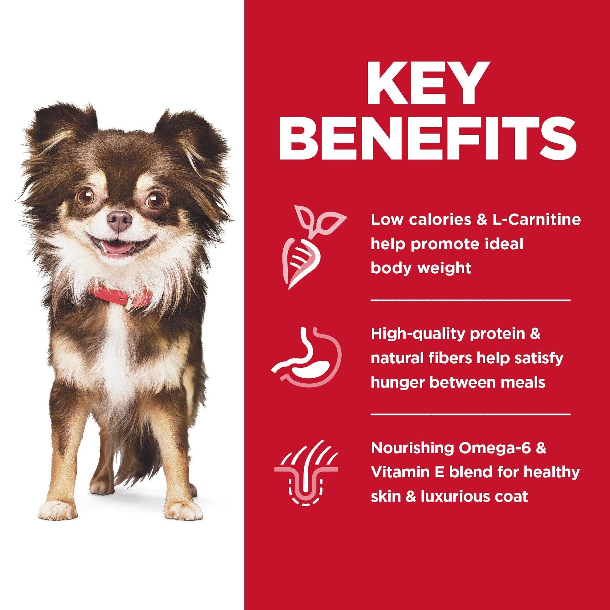 Hill's Science Diet Sensitive Skin & Stomach Adult Small & Mini Dry Dog Food - PetPost Australia