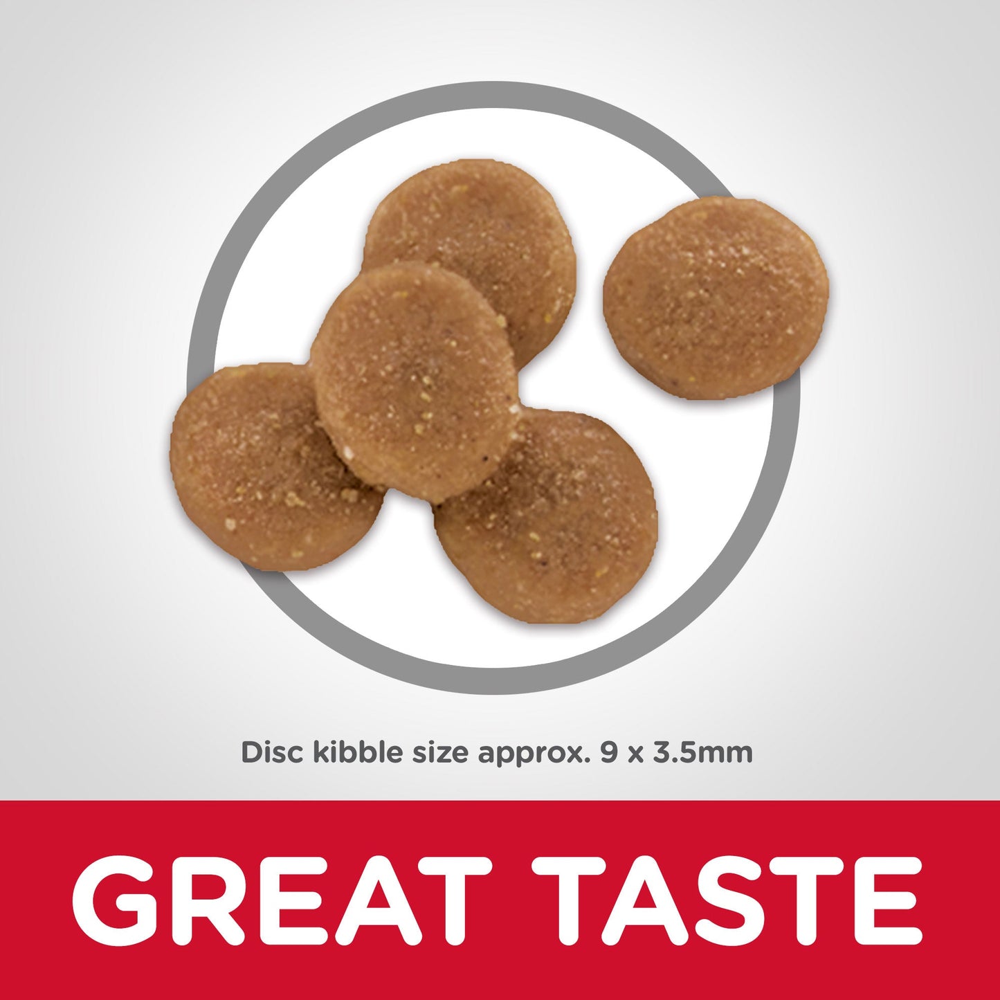 Hill's Science Diet Sensitive Stomach & Skin Adult Chicken Dry Cat Food - PetPost Australia
