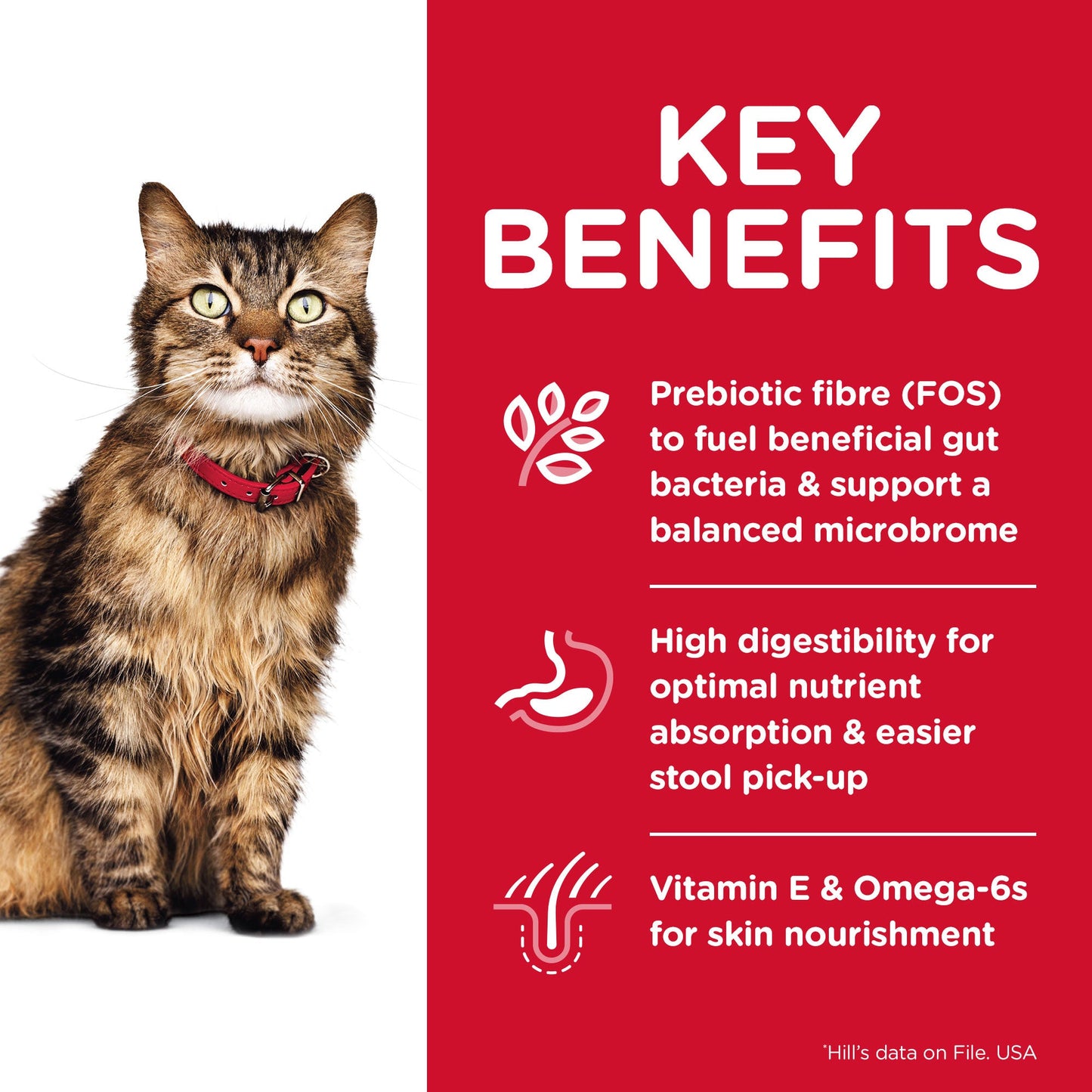 Hill's Science Diet Sensitive Stomach & Skin Adult Chicken Dry Cat Food - PetPost Australia