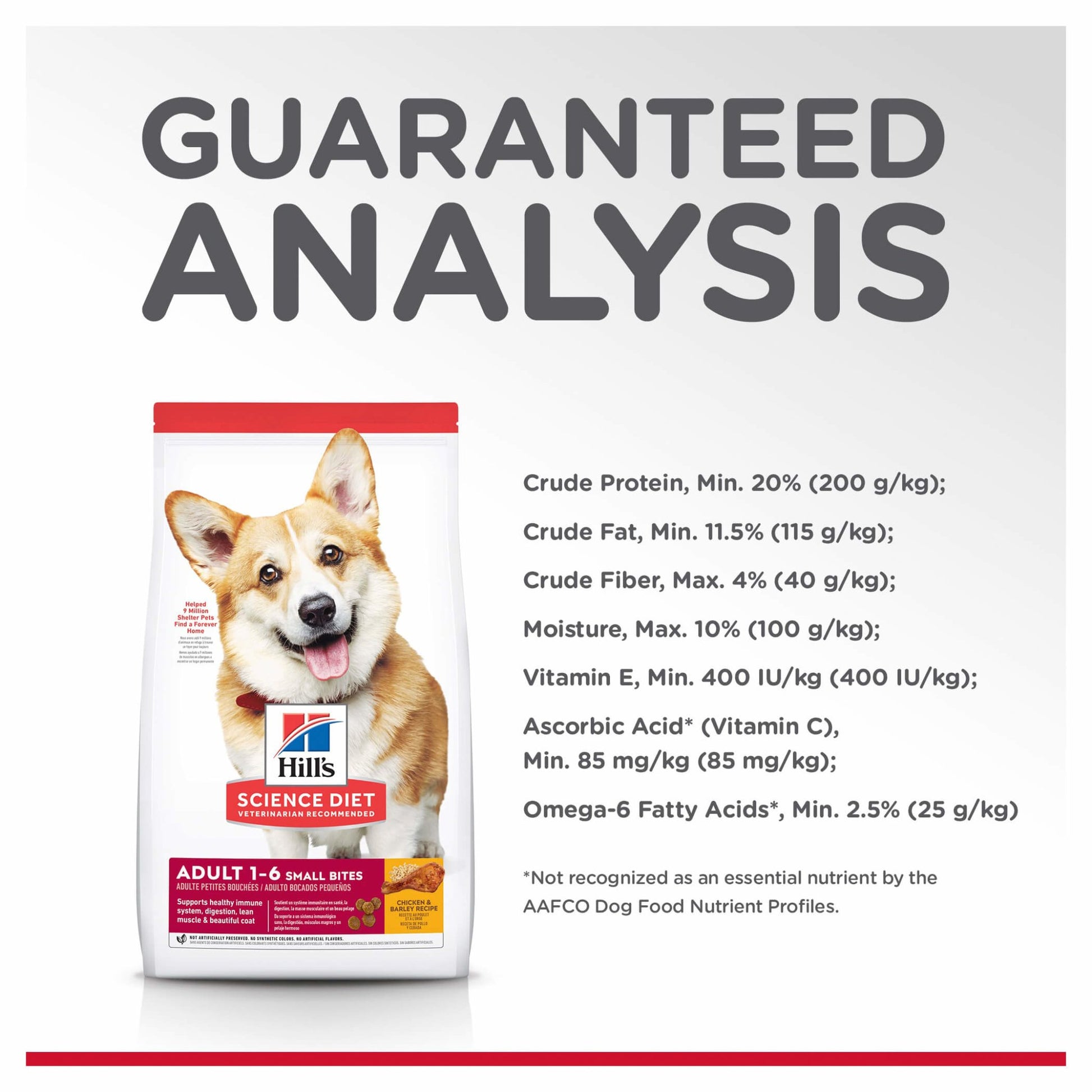 Hill's Science Diet Small Bites Adult Dry Dog Food - PetPost Australia