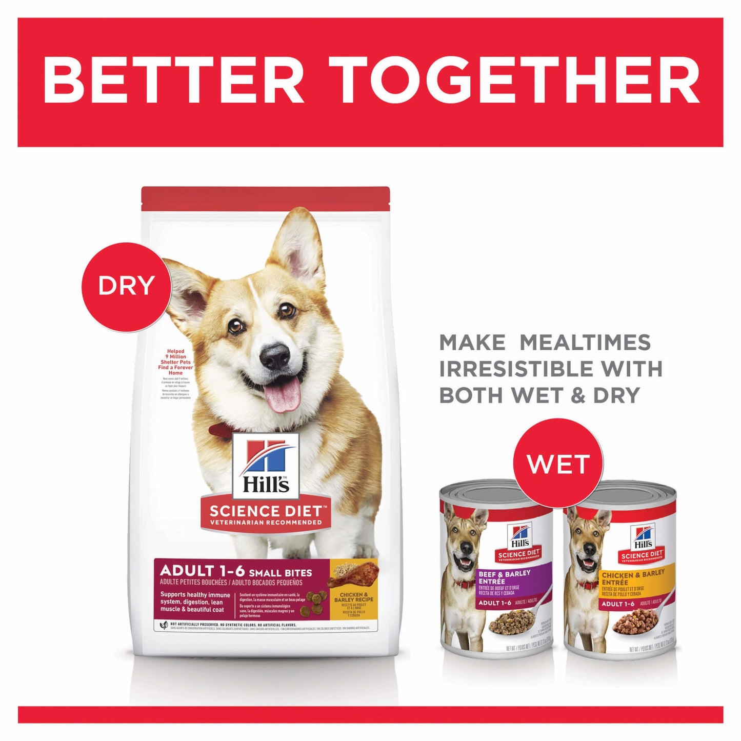 Hill's Science Diet Small Bites Adult Dry Dog Food - PetPost Australia