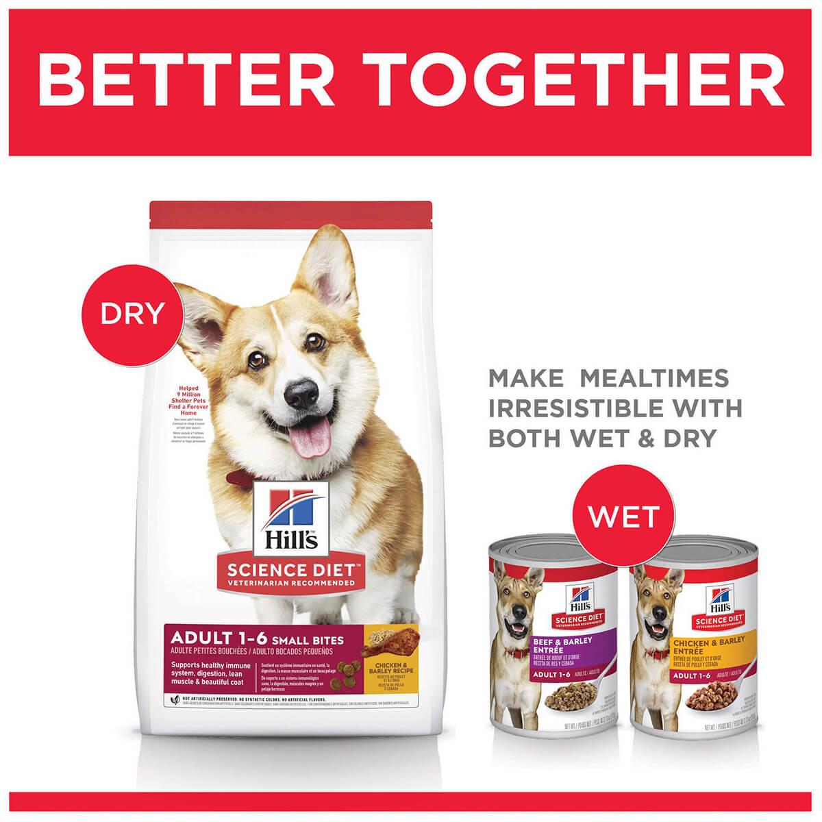 Hill's Science Diet Small Bites Adult Dry Dog Food - PetPost Australia