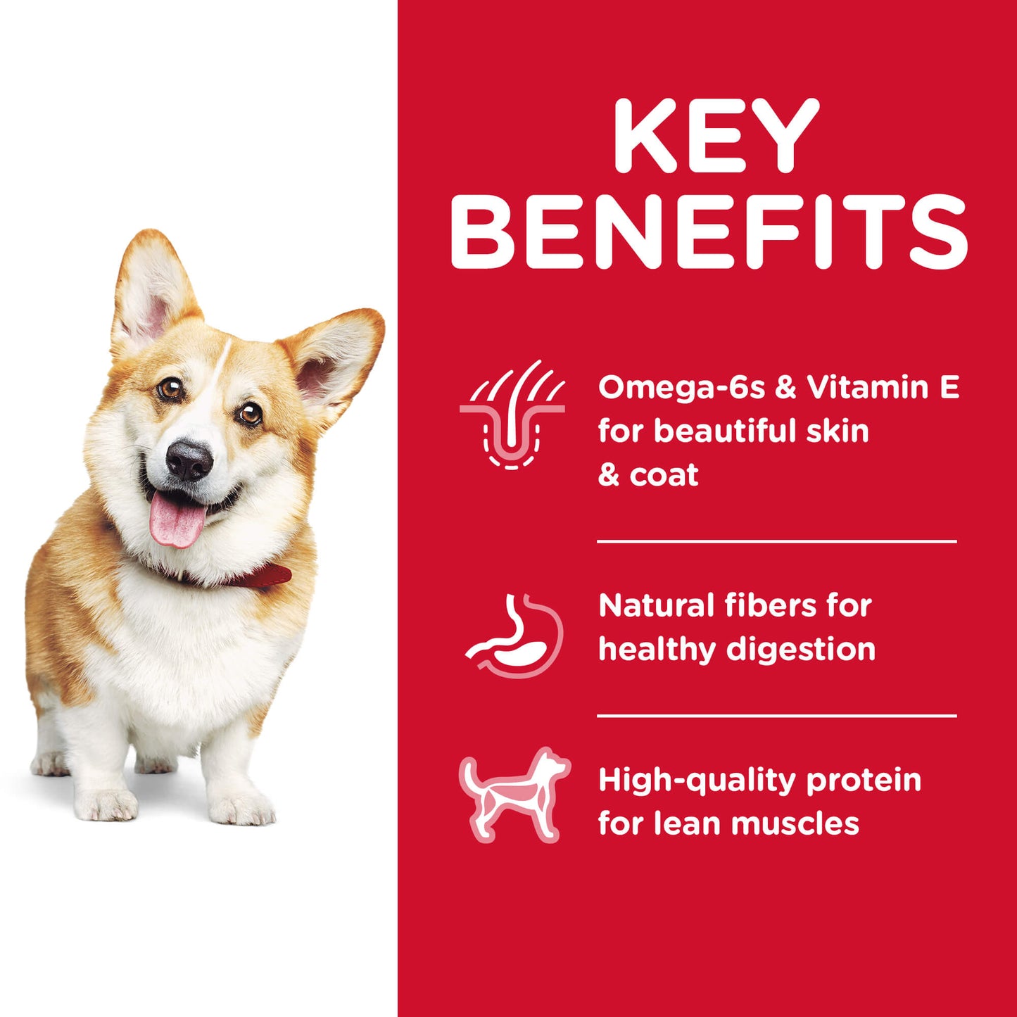 Hill's Science Diet Small Bites Adult Dry Dog Food - PetPost Australia