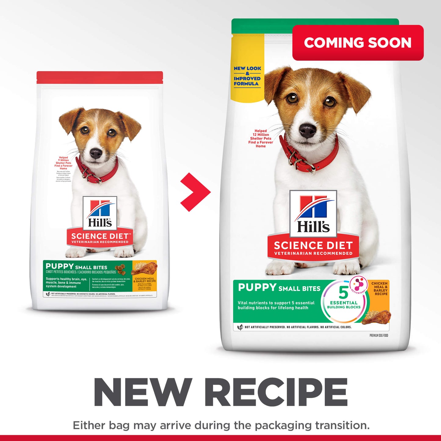 Hill's Science Diet Small Bites Puppy Dry Dog Food - PetPost Australia