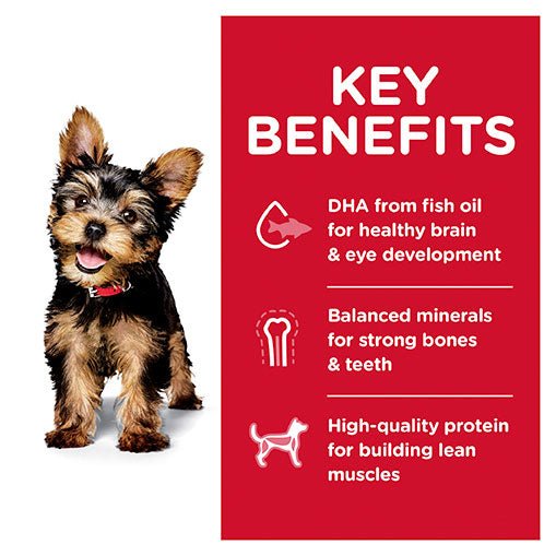 Hill's Science Diet Small Paws Puppy Dry Dog Food - PetPost Australia