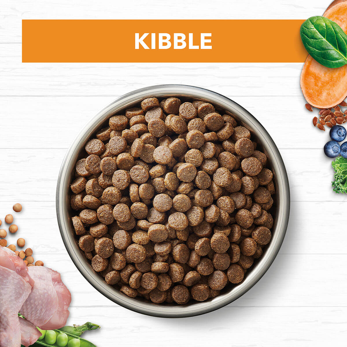 Ivory Coat Grain Free Adult Chicken Dry Cat Food - PetPost Australia