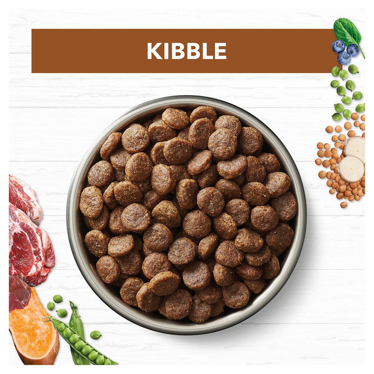 Ivory Coat Grain Free Adult Lamb & Kangaroo Dry Dog Food - PetPost Australia